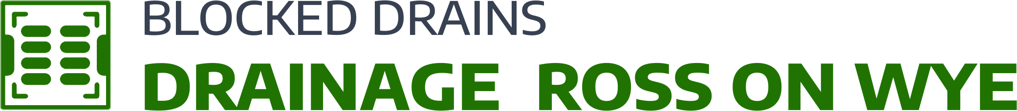 website logo